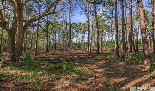 Lot 66 Telfair Plantation