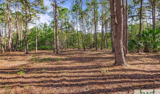 Lot 66 Telfair Plantation