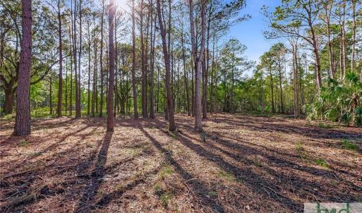 Lot 66 Telfair Plantation