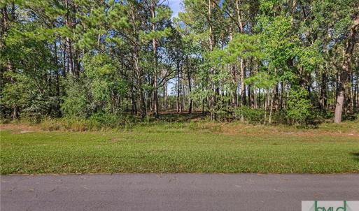 Street View Lot 66 Telfair Plantation