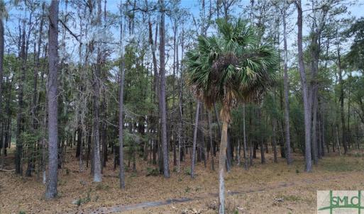 Photo #6 of 19 Masters, Daufuskie Island, SC 0.5 acres