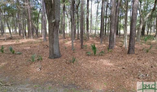 Photo #5 of 19 Masters, Daufuskie Island, SC 0.5 acres