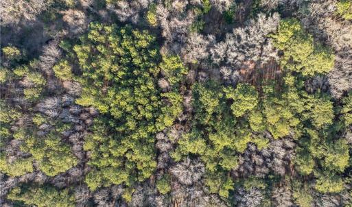 Photo #12 of 26 Swamprose, Seabrook, SC 0.9 acres