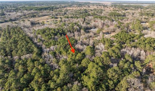 Photo #3 of 26 Swamprose, Seabrook, SC 0.9 acres