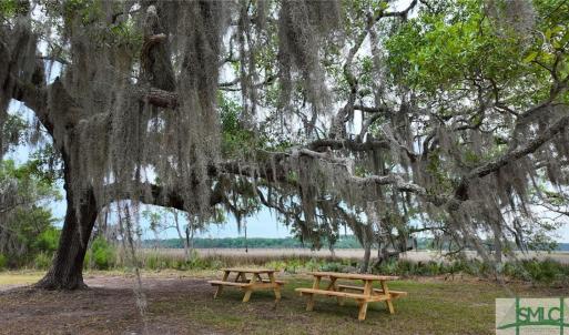 Community Picnic Area