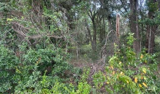 Photo #3 of 1236 Seaside Road, St Helena Island, SC 8.9 acres