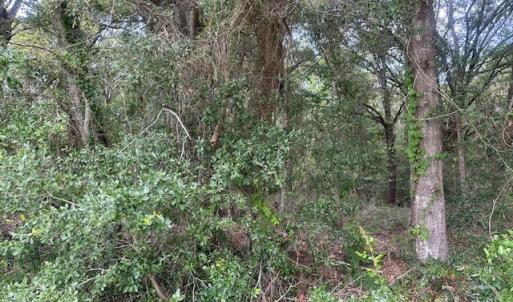 Photo #2 of 1236 Seaside Road, St Helena Island, SC 8.9 acres