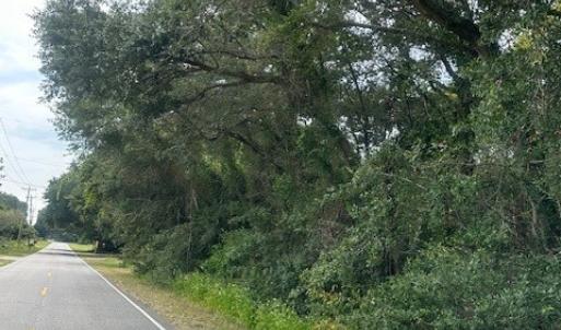 Photo #1 of 1236 Seaside Road, St Helena Island, SC 8.9 acres
