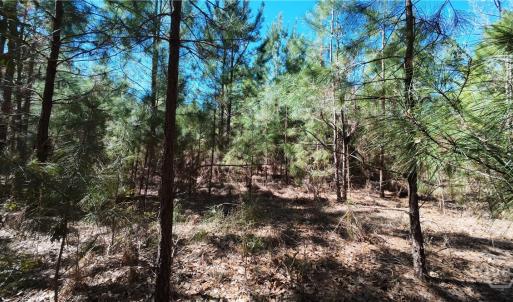 Photo #16 of TBD Firetower, Ridgeland, SC 2.1 acres