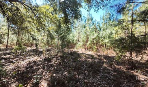 Photo #17 of TBD Firetower, Ridgeland, SC 2.1 acres