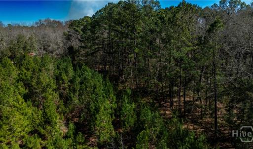 Photo #19 of TBD Firetower, Ridgeland, SC 2.1 acres