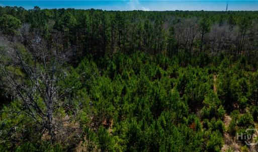 Photo #18 of TBD Firetower, Ridgeland, SC 2.1 acres