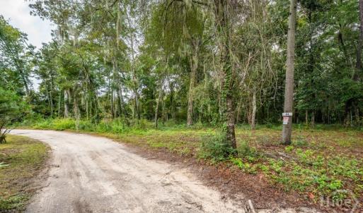 Photo #3 of 44 Presnell, Beaufort, SC 0.3 acres