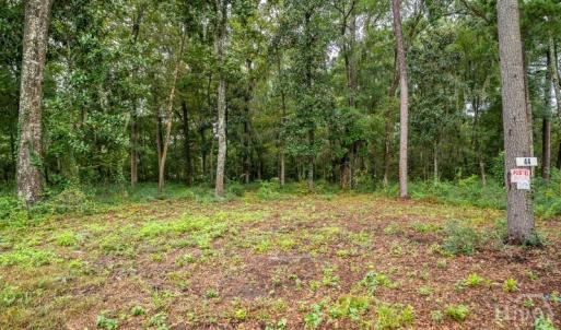 Photo #4 of 44 Presnell, Beaufort, SC 0.3 acres