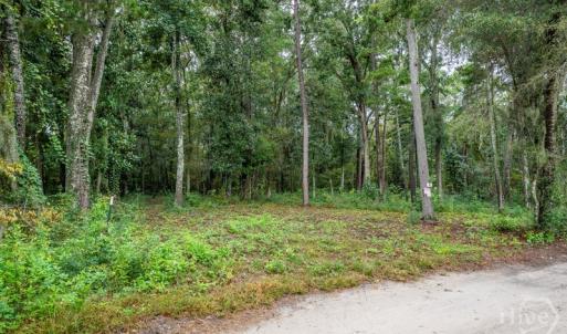 Photo #1 of 44 Presnell, Beaufort, SC 0.3 acres