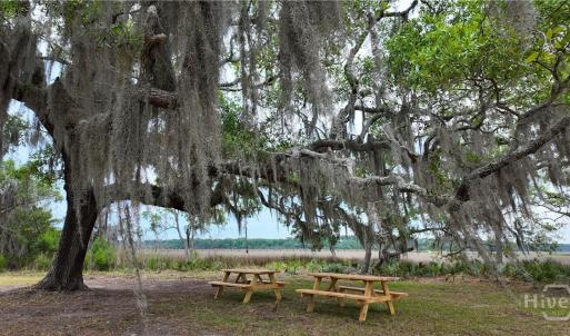 Rivers Reach Picnic Area