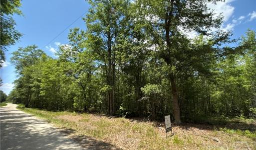 526 Roper Road - 30 Acres