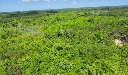 526 Roper Road - 30 Acres