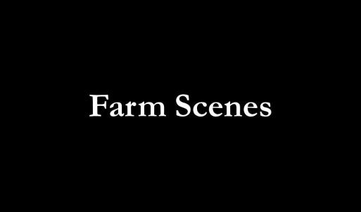 Farm Scenes
