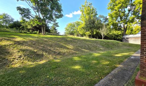 Back yard