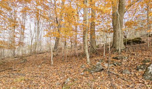 APC_3439-hdr