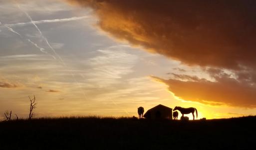 45 Sunset At VCL Flying Horse Farm