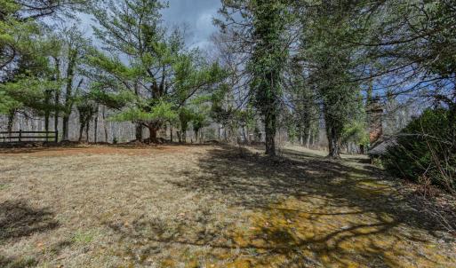 Back yard
