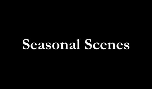 Seasonal Scenes