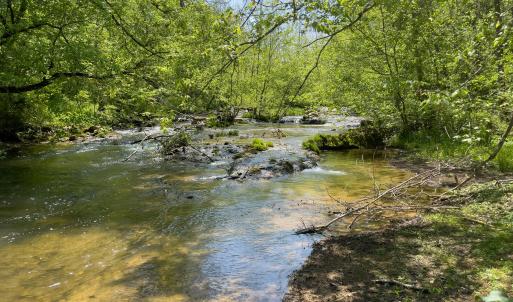 Hays Creek
