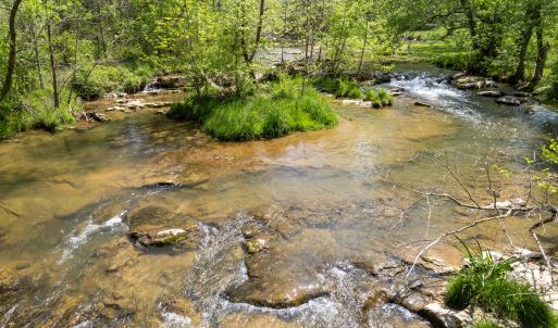 Hays Creek