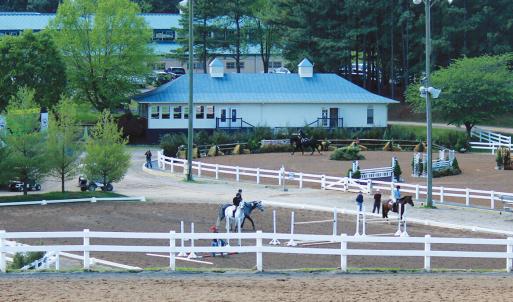 Virginia Horse Center Lexington VA