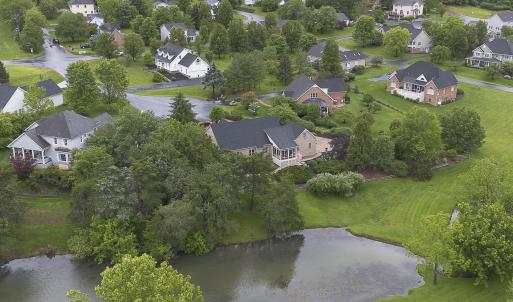 Pond
