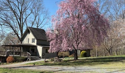 Spring time