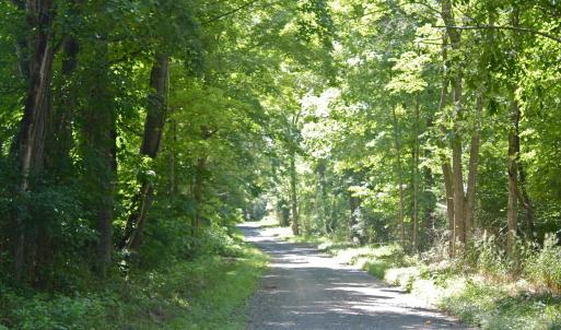 Creek lane
