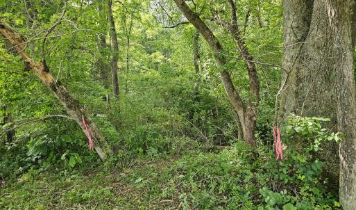Creek Access Point