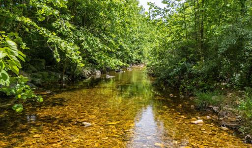 20250613-DJI_20250613124555_0015_D