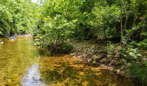 20250613-DJI_20250613124616_0018_D