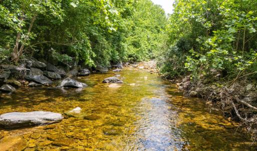 20250613-DJI_20250613124624_0019_D