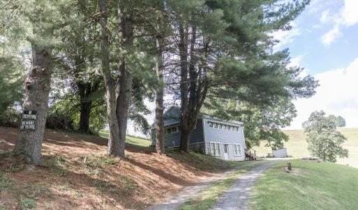 Driveway View