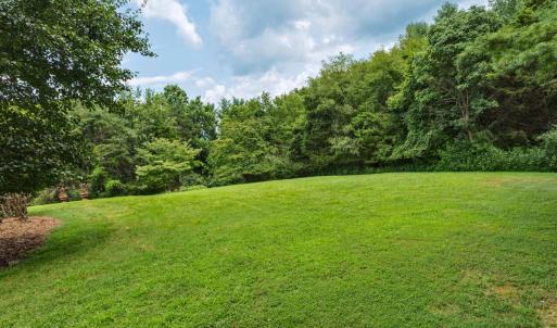 Back yard