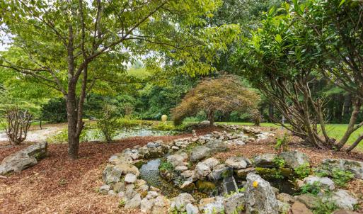 Pond