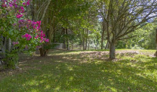Side/backyard with mature landscaping