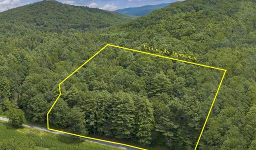 MLS 1560 Pedlar River Rd-6