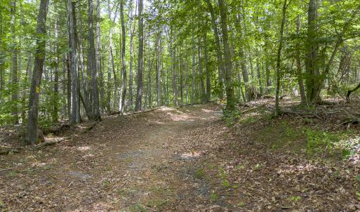 MLS 1560 Pedlar River Rd-25