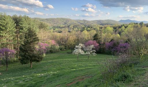 Seasonal Owner Photo