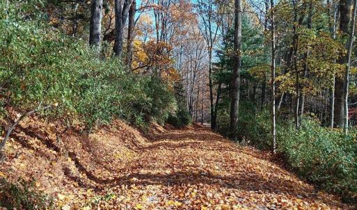 Seasonal Owner Photo