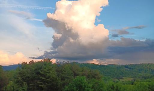 Seasonal Owner Photo