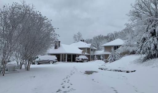 Seasonal Owner Photo