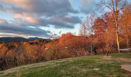 Seasonal Owner Photo