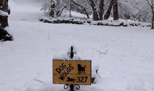 Seasonal Owner Photo